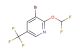 3-Bromo-2-(difluoromethoxy)-5-(trifluoromethyl)pyridine