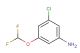 3-Chloro-5-(difluoromethoxy)aniline