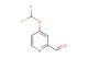 4-(Difluoromethoxy)picolinaldehyde