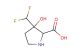 3-(Difluoromethyl)-3-hydroxypyrrolidine-2-carboxylic acid