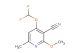 4-(Difluoromethoxy)-2-methoxy-6-methylpyridine-3-carbonitrile