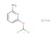 6-(difluoromethoxy)pyridin-2-amine hydrochloride