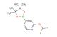 2-(Difluoromethoxy)-4-(4,4,5,5-tetramethyl-1,3,2-dioxaborolan-2-yl)pyridine