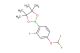 2-(4-(Difluoromethoxy)-2-fluorophenyl)-4,4,5,5-tetramethyl-1,3,2-dioxaborolane