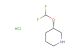 (S)-3-(Difluoromethoxy)piperidine hydrochloride