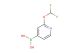 (2-(Difluoromethoxy)pyridin-4-yl)boronic acid