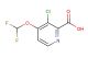 3-Chloro-4-(difluoromethoxy)picolinic acid