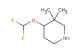 4-(Difluoromethoxy)-3,3-dimethylpiperidine