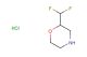 2-(Difluoromethyl)morpholine hydrochloride
