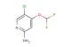 5-chloro-4-(difluoromethoxy)pyridin-2-amine