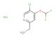 (5-Chloro-4-(difluoromethoxy)pyridin-2-yl)methanamine hydrochloride