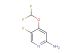 4-(Difluoromethoxy)-5-fluoropyridin-2-amine