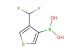 (4-(Difluoromethyl)thiophen-3-yl)boronic acid