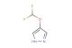 4-(difluoromethoxy)-1H-pyrazole