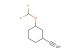 1-(difluoromethoxy)-3-ethynyl-cyclohexane