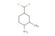 4-(difluoromethyl)-2-methyl-cyclohexanamine