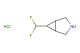6-(difluoromethyl)-3-azabicyclo[3.1.0]hexane hydrochloride