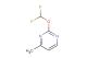2-(Difluoromethoxy)-4-methylpyrimidine