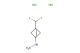 [3-(difluoromethyl)-1-bicyclo[1.1.1]pentanyl]hydrazine;dihydrochloride
