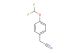 2-(4-(Difluoromethoxy)phenyl)acetonitrile