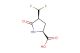(2S,4S)-4-(Difluoromethyl)-5-oxopyrrolidine-2-carboxylic acid