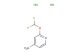 2-(Difluoromethoxy)pyridin-4-amine dihydrochloride