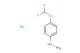 (4-(Difluoromethoxy)phenyl)hydrazine hydrochloride
