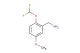 [2-(difluoromethoxy)-5-methoxyphenyl]methanamine