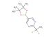2-(1,1-difluoroethyl)-5-(4,4,5,5-tetramethyl-1,3,2-dioxaborolan-2-yl)pyrimidine