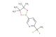 2-(1,1-Difluoroethyl)-5-(4,4,5,5-tetramethyl-1,3,2-dioxaborolan-2-yl)pyridine