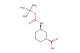 (1R,3R)-3-(tert-butoxycarbonylamino)cyclohexanecarboxylic acid