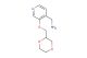 (3-((1,4-dioxan-2-yl)methoxy)pyridin-4-yl)methanamine