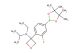 N-ethyl-3-(2-fluoro-4-(4,4,5,5-tetramethyl-1,3,2-dioxaborolan-2-yl)phenyl)-N-isopropyloxetan-3-amine