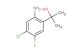 2-(2-amino-4-chloro-5-fluorophenyl)propan-2-ol