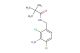 N-(3-amino-2,4-dichlorobenzyl)pivalamide