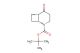 rel-tert-butyl (1R,6S)-5-oxo-2-azabicyclo[4.2.0]octane-2-carboxylate