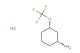 (1R,3S)-3-(trifluoromethoxy)cyclohexanamine hydrochloride