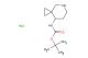 tert-butyl 5-azaspiro[2.5]octan-8-ylcarbamate hydrochloride
