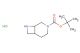 3,8-Diazabicyclo[4.2.0]octane-3-carboxylic acid, 1,1-dimethylethyl ester, hydrochloride (1:1)