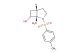 Rel-(1S,5S)-1-methyl-2-tosyl-2-azabicyclo[3.2.0]heptan-7-ol
