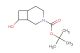 tert-butyl 8-hydroxy-3-aza-bicyclo[4.2.0]octane-3-carboxylate
