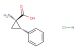 trans-1-amino-2-phenylcyclopropanecarboxylic acid hydrochloride