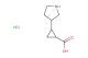 2-(pyrrolidin-3-yl)cyclopropanecarboxylic acid hydrochloride