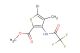 methyl 5-bromo-4-methyl-3-(2,2,2-trifluoroacetamido)thiophene-2-carboxylate