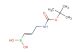 (E)-(3-((tert-butoxycarbonyl)amino)prop-1-en-1-yl)boronic acid