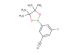3-fluoro-5-(4,4,5,5-tetramethyl-1,3,2-dioxaborolan-2-yl)benzonitrile