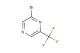 2-bromo-6-(trifluoromethyl)pyrazine