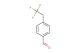 4-(2,2,2-trifluoroethyl)benzaldehyde