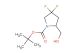tert-butyl 4,4-difluoro-2-(hydroxymethyl)pyrrolidine-1-carboxylate