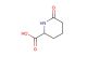 6-oxopiperidine-2-carboxylic acid